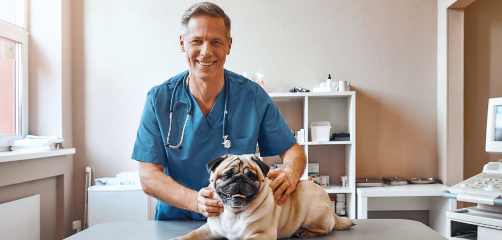 Tips To Promote a Successful Veterinary Clinic
