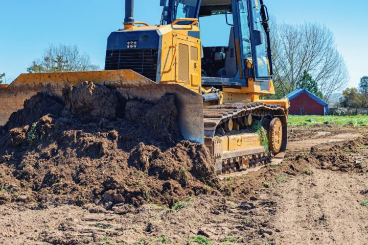 Sustainable Ways You Can Clear Your Land for Your Business