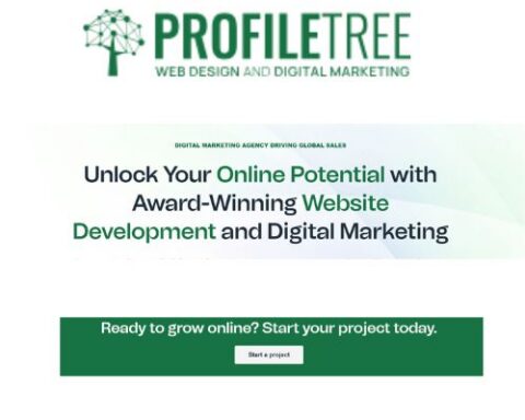 Startup's First Website Should Focus on Leads