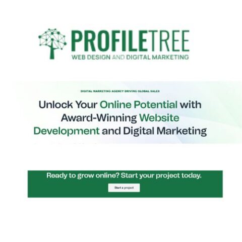 Startup's First Website Should Focus on Leads