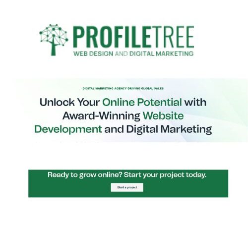 Startup's First Website Should Focus on Leads