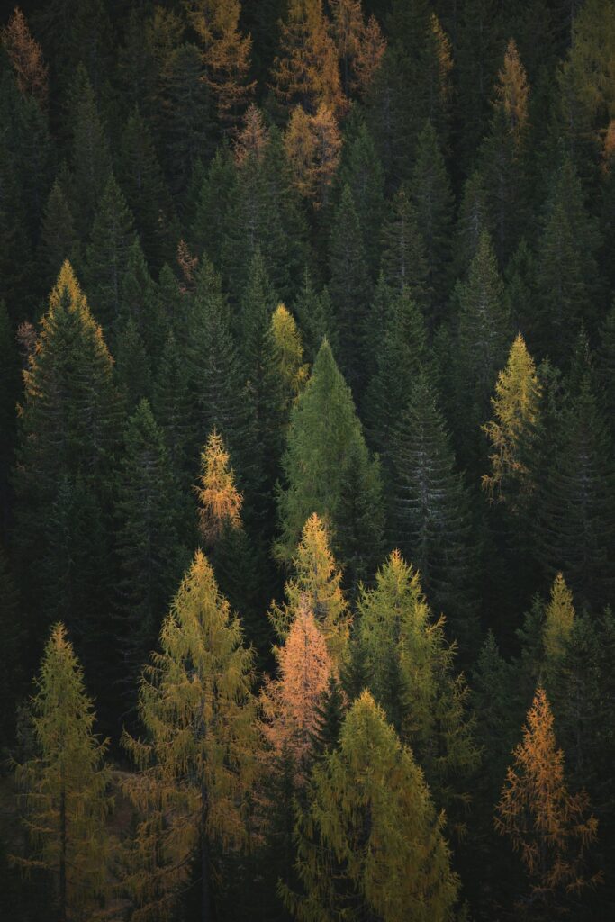 climate tech startups solving el nino environmental crisis 2026