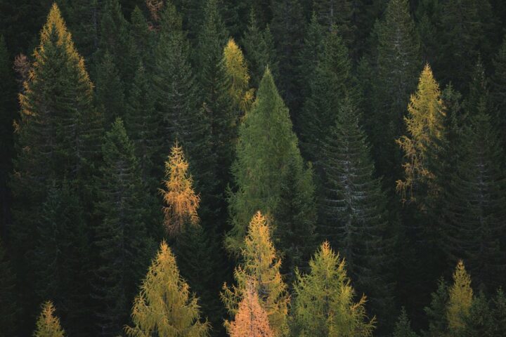 climate tech startups solving el nino environmental crisis 2026
